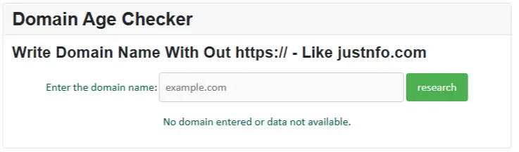 The English version of the Domain Age Checker tool where users can enter a website domain name to instantly analyze registration age and domain information.