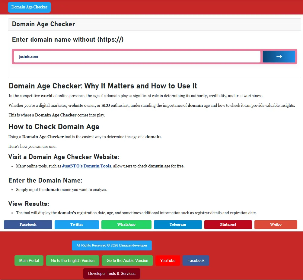 Experimental single-page domain age checker interface