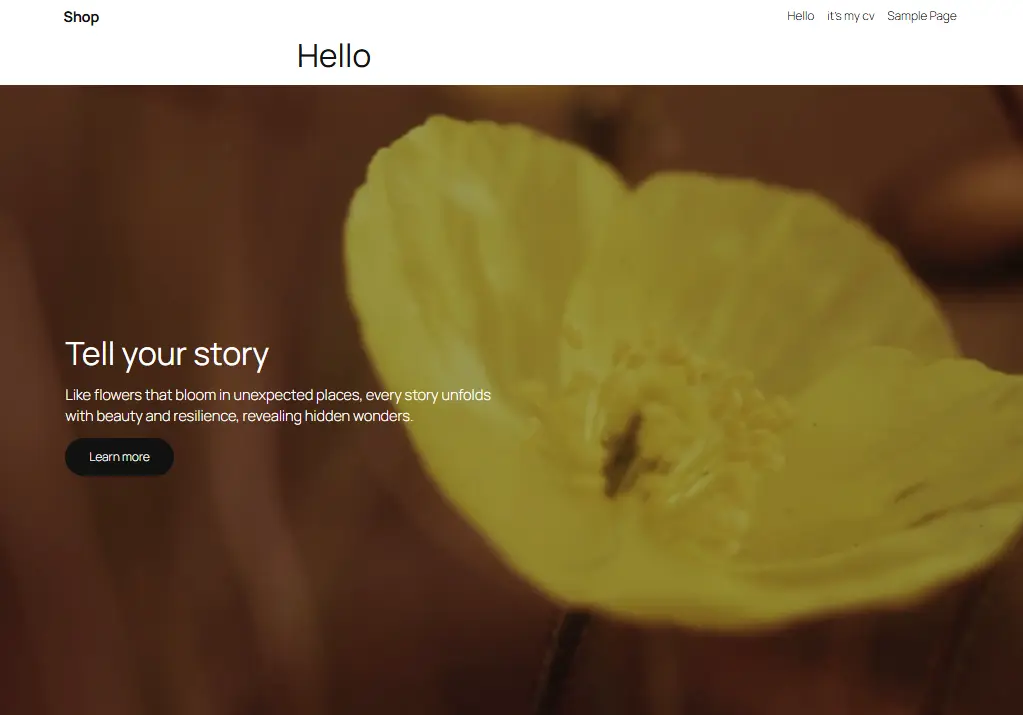 Hero section of a WordPress informational website homepage